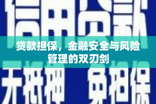 万荣贷款担保，金融安全与风险管理的双刃剑