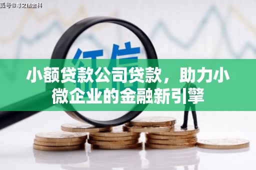 佳冬小额贷款公司贷款，助力小微企业的金融新引擎