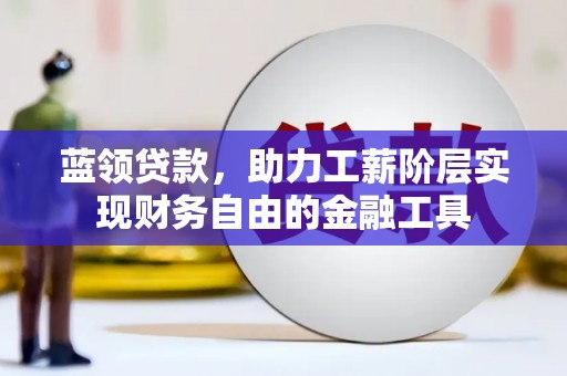 镇赉蓝领贷款，助力工薪阶层实现财务自由的金融工具