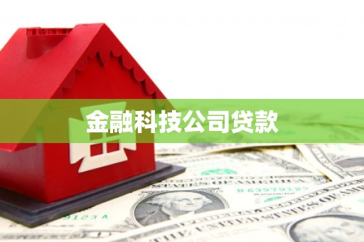 镇远金融科技公司贷款