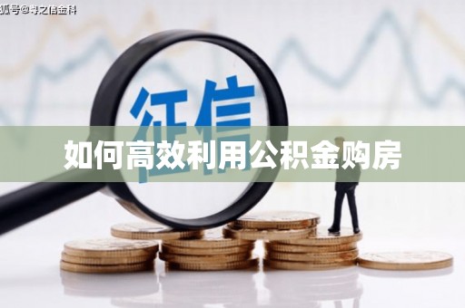 全南如何高效利用公积金购房