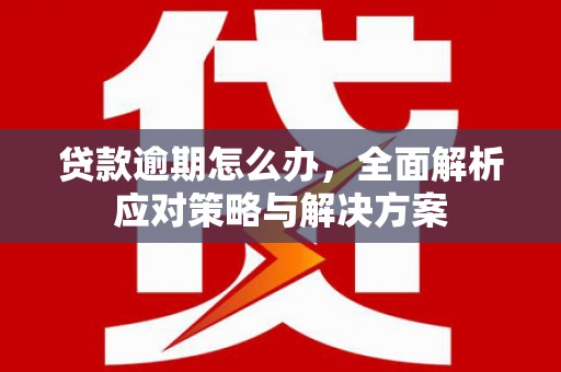 惠安贷款逾期怎么办，全面解析应对策略与解决方案