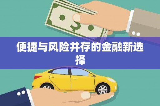 壮围便捷与风险并存的金融新选择