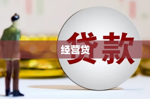 陇南经营贷
