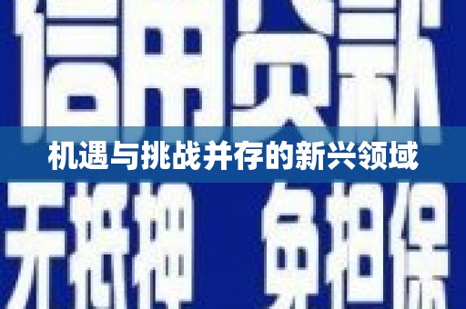 和田机遇与挑战并存的新兴领域