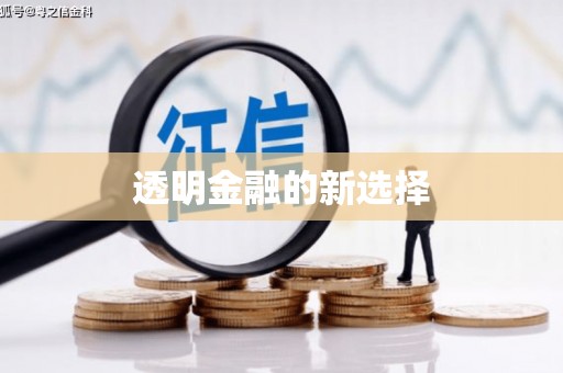 利辛透明金融的新选择