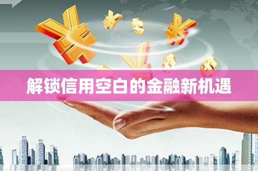 合山解锁信用空白的金融新机遇