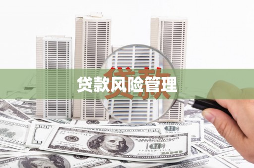 吴堡贷款风险管理