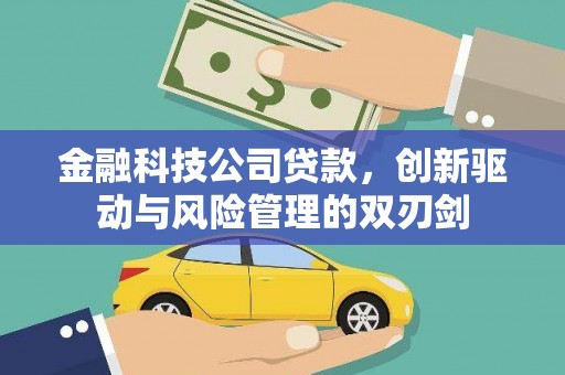 甘南金融科技公司贷款，创新驱动与风险管理的双刃剑